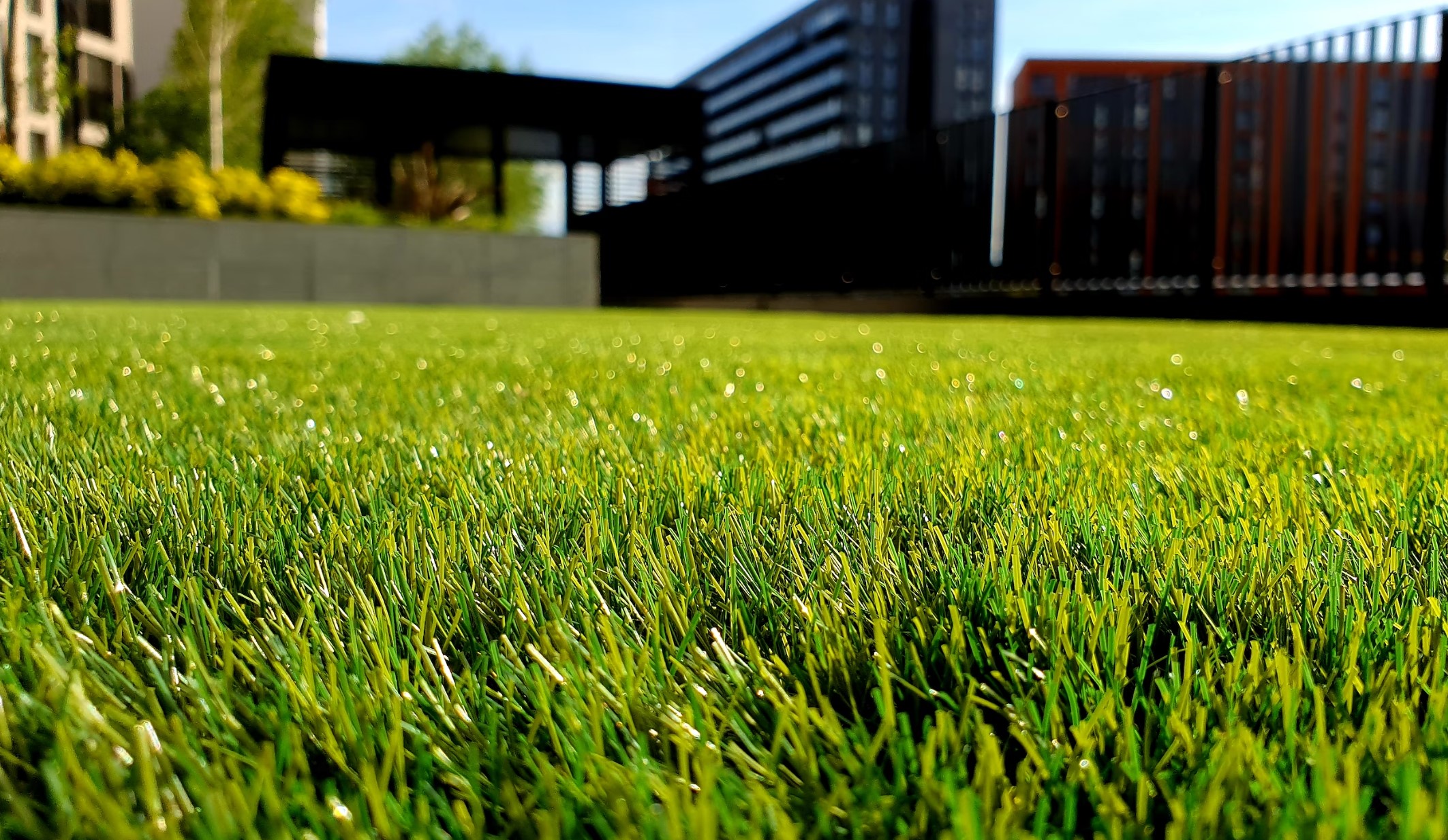 sod grass installation