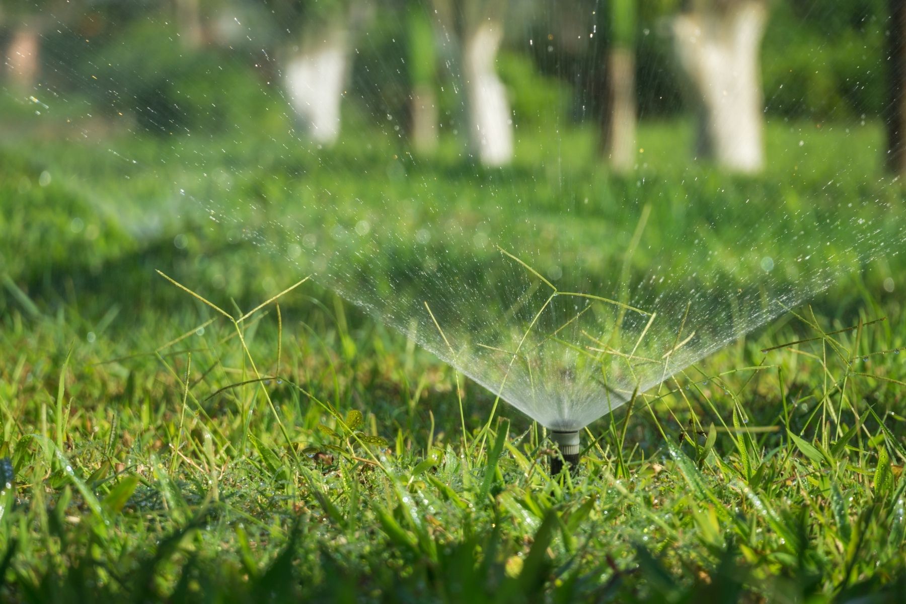 Sprinkler Installation in McKinney (469) 7900883
