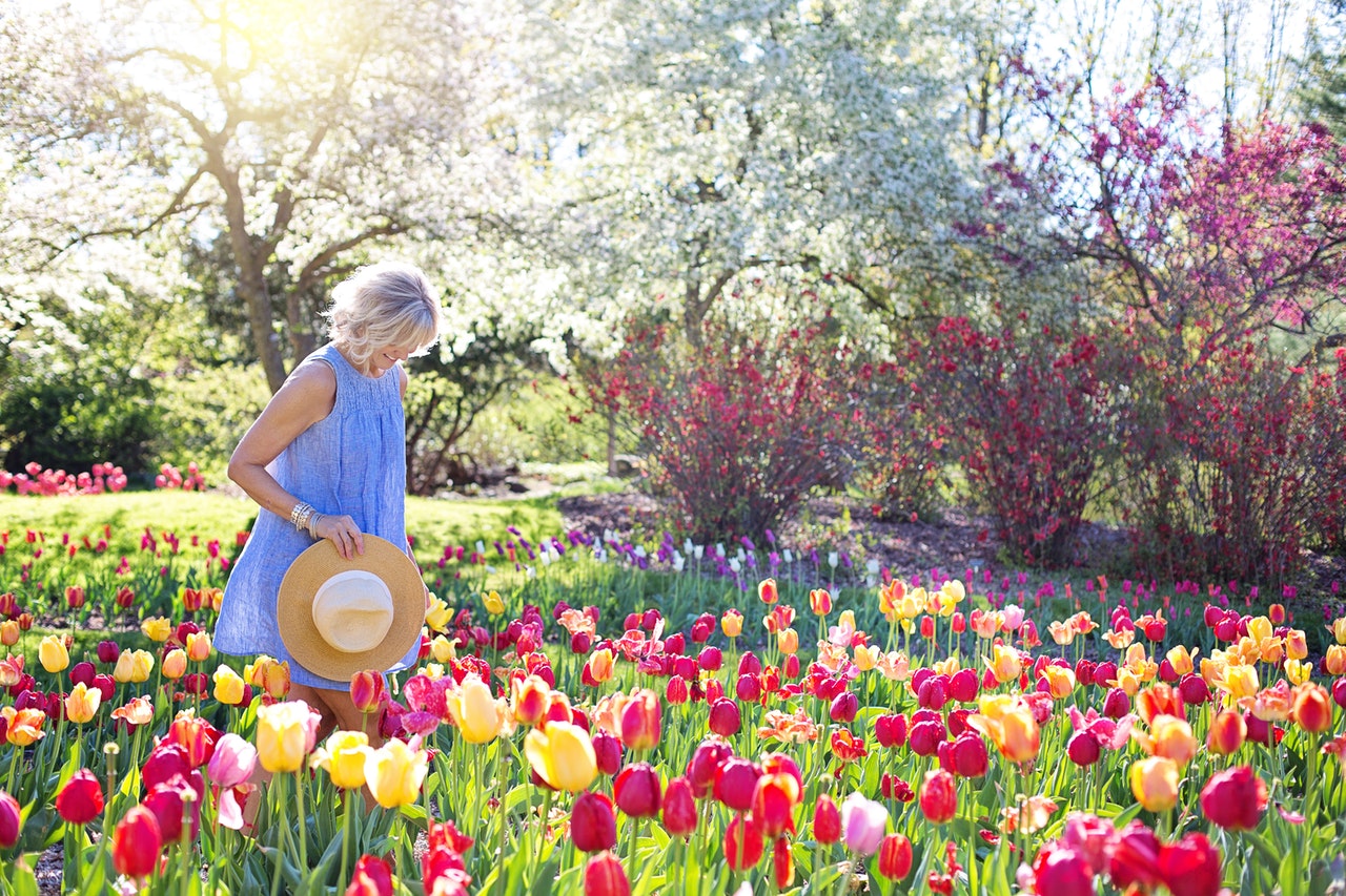 flower bed landscaping