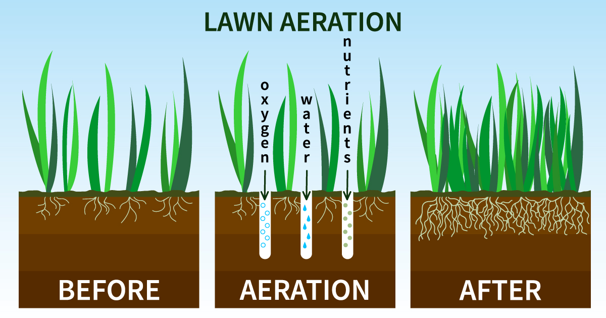 Lawn Aeration